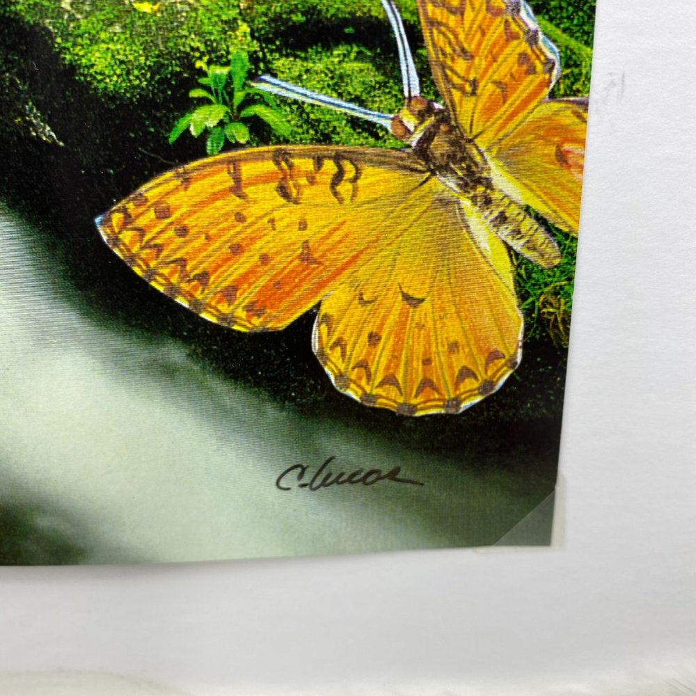 C. Lucas Digital Collage Print Signed Fairy - Picture 2 of 7